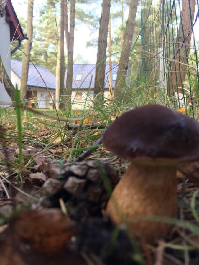 Domek Na Lesnej Pogorzelica  Exterior foto